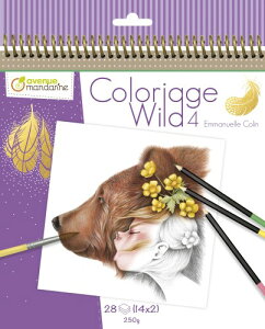 �A�x�j���[�}���_���� �J���[�����O�u�b�N Wild4�i���̃R�ƐX�̓����j �h��G�E��l�̓h��G Avenue Mandarine avmgy093