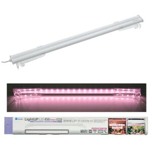  CgAbv SLIM i` 450 zCg 45-55cmp