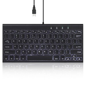 Perixx �؃��b�N�X PERIBOARD-429 US �o�b�N���C�g�L�[�{�[�h �L�� USB �z���C�gLED ����L�[�{�[�h - �e���L�[���X �~�j�T�C�Y 282x135x14mm - �p���^�O���t - �p��z��
