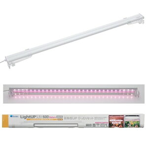  CgAbv SLIM i` 600 zCg 60-70cmp