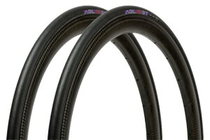 2�{�Z�b�g �p�i���[�T�[(Panaracer) �A�W���X�g 700×30C �N�����`���[ �� F730-AG-B-2P