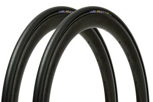 2�{�Z�b�g �p�i���[�T�[(Panaracer) �A�W���X�g DURO 700×25C �N�����`���[ �� F725-AGD-B-2P