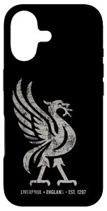 ���o�v�[�� �C���O�����h Est.1207 Colossal Liverbird Grey Age �X�}�z�P�[�X iPhone 17 �p