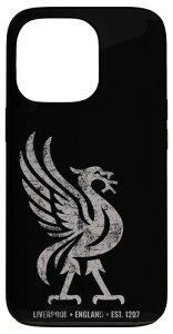 ���o�v�[�� �C���O�����h Est.1207 Colossal Liverbird Grey Age �X�}�z�P�[�X iPhone 13 Pro �p