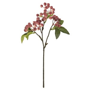 ������ ���� ���[�u ���̒��a ��1~1.3×�S�� ��35cm �t���[�Y�x���[ FM007569-042