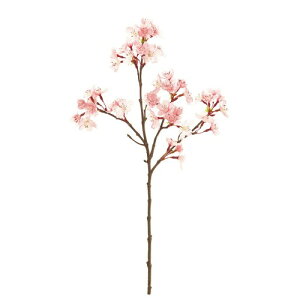 ������(Tokyodo) MAGIQ �A�[�e�B�V�����t�����[ ���g�̍� ���J�� �s���N�Ԍa2~4×L48cm FM007073-zzz