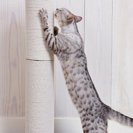 アドメイト (ADD. MATE) 猫のおあそびポール クライミング 専用とぎカスのでにくい45cm替え柱1本
