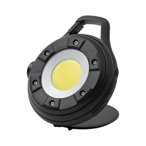 R[iIWi LIFELEX USB[dLEDCgی^ 5W 350lm CAM02-1881 ubN