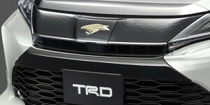 TRD nA[ 60n tgop[K[jbV ubN MS312-48001