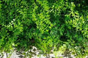 ���r���O�A�E�g(Living Out) ���A���O���[���t�F���X �t�F�C�N�O���[�� �R�j�t�@�[�� 1m×1m UV�J�b�g �������s�v �ȒP���t�� �ډB�� �����o���h�t�� �C���e���A