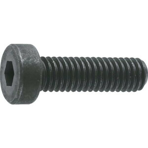 TRUSCO(�g���X�R) �ᓪ�Z�p���t�{���g �����ߑS�l�W M8×20 10�{�� B081-0820 × 10PK