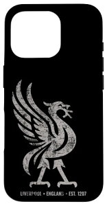 ���o�v�[�� �C���O�����h Est.1207 Colossal Liverbird Grey Age �X�}�z�P�[�X iPhone 16 Pro �p