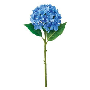 ������(Tokyodo) MAGIQ �A�[�e�B�t�B�V�����t�����[ ������������ #105 BLUE FM007988-105