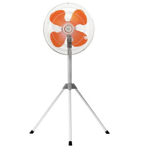 �v���C�� �Ɩ��p��@ �H��� �O�r�^ 43.5cm ��U�� �܂��� �����^�� �����H�� ����3�i�K �H���ȒP��t FTP431