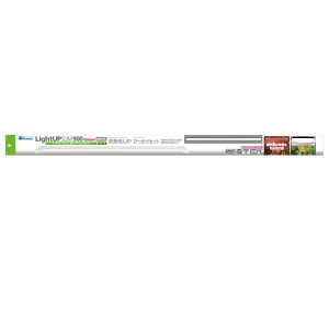  CgAbv SLIM i` 900 zCg 90-100cmp