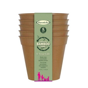 �|�� �A�ؔ� 13cm 5�Z�b�g �o���u�[�|�b�g �e���R�b�^ Bamboo Pot �|�b�g (�|���A�ؔ�)