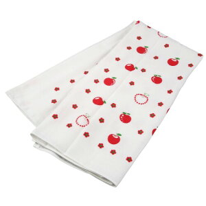 �C�T������ ��100% ���{�� �K�[�[�o�X�^�I�� �����S�� 90×90cm �x�r�[ �����E�X�L���P�A �^�I���E�E�H�b�V���N���X ���� �����C �q���� �f���P�[�g