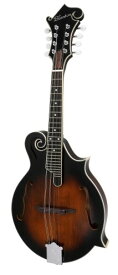 Blanton フラットマンドリン Fモデル オールソリッドモデル BM-35F