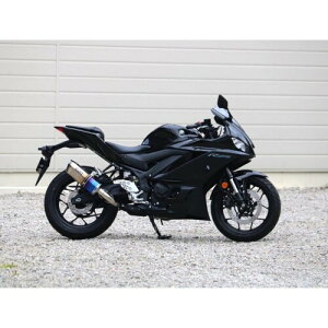 WR`S S/O SS-OVAL ĂF^Cv YZF-R25 22-(8BK-RG74J)/MT-25 22-(8BK-RG74J) SB2270JM