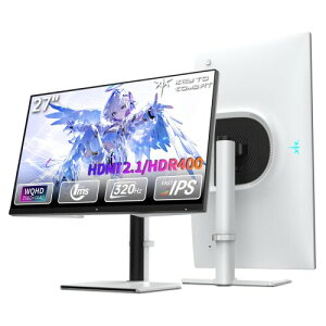 KEY TO COMBAT 27�C���` WQHD (2560x1440) 300Hz(OC 320Hz) FAST IPS 1ms/144%sRGB/HDR400/450cd/m?/FreeSync & G-Sync�Ή�/HDMI2.1×2 DP1.4×2 �O��`���g�E���E�X���x���E���������E�s�{�b�g��] �H��s�v VESA 3�N�ۏ� ����