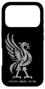 ���o�v�[�� �C���O�����h Est.1207 Colossal Liverbird Grey Age �X�}�z�P�[�X iPhone 17 Pro �p