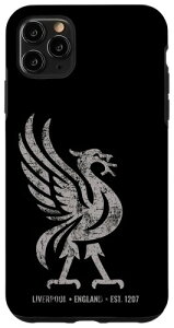���o�v�[�� �C���O�����h Est.1207 Colossal Liverbird Grey Age �X�}�z�P�[�X iPhone 11 Pro Max �p