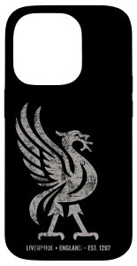 ���o�v�[�� �C���O�����h Est.1207 Colossal Liverbird Grey Age �X�}�z�P�[�X iPhone 14 Pro �p