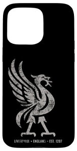 ���o�v�[�� �C���O�����h Est.1207 Colossal Liverbird Grey Age �X�}�z�P�[�X iPhone 15 Pro Max �p