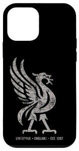 ���o�v�[�� �C���O�����h Est.1207 Colossal Liverbird Grey Age �X�}�z�P�[�X iPhone 12 mini �p