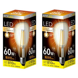 �X�^�C���h LED�d�� �N���A�d���^�C�v ST64�` 2�Z�b�g �������a26mm �t�B�������g