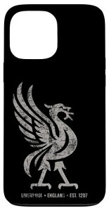 ���o�v�[�� �C���O�����h Est.1207 Colossal Liverbird Grey Age �X�}�z�P�[�X iPhone 13 Pro Max �p