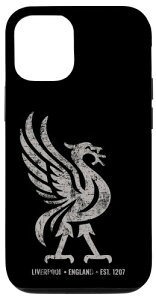 ���o�v�[�� �C���O�����h Est.1207 Colossal Liverbird Grey Age �X�}�z�P�[�X iPhone 12/12 Pro �p