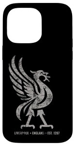 ���o�v�[�� �C���O�����h Est.1207 Colossal Liverbird Grey Age �X�}�z�P�[�X iPhone 14 Pro Max �p
