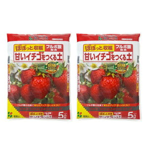 �Ԃ�����(Hanagokoro) �Â��C�`�S������y 5L×2��