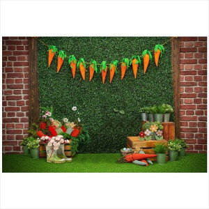 obN wi Easter C[X^[ Egg GbO Cxg p[eB[ X^WI ʐ^Be ǎ  fR[V  oj[ OX  ؐ Ƃт t (21710-21907) Style-11 rj[150x100cm