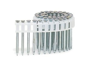 �}�b�N�X�i���j �R�C���l�C�� 50�{×20��×2�� CCP27V9-H(40)