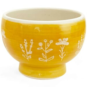   q  ̉ CG[ q matcha bowl { g