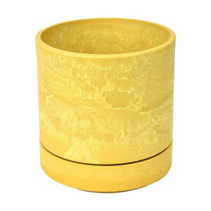 �� 5�� ���M�t ���T�C�N������ [�t�@�C]15.5×H15.5cm �V�����h�D���J���|�b�g ���� �C���e���A LEAD STYLE (�C�G���[�S�[���h)