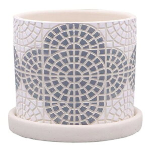 �f���L (dellki) �t���[�[�|�b�g A Fliese �O���[�� L�T�C�Y [�t�@�C]105×H85mm KL73GY