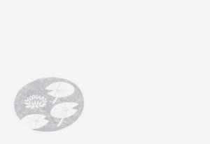 򎽊 ㎿e[u}bg 3㎿~}bg @p @ 100 B-26-76