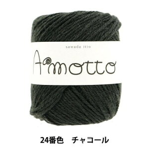 SAWADA �V�c �H�~�ю� �w�A���b�g 24�ԐF �`���R�[���x
