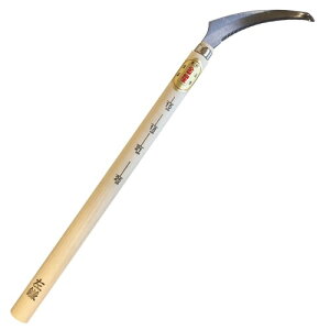 �L���{�V(Kinboshi) ���� �A�X�p����(��) ���� ���n�E�̏W�p 140505