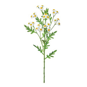 ������(Tokyodo) MAGIQ �A�[�e�B�t�B�V�����t�����[ �{�k�[���J���~�[�� WHITE FM007155-zzz