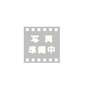 �t�@�[�X�e�b�N �{�^���d�r CX927/SR927 CX927/SR927