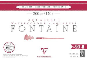 N[tHe[k ʎ  18×26(20) ubN p  300g Clairefontaine cf975449