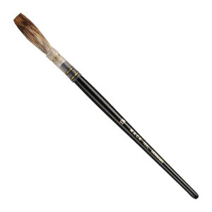 �v���z���|(Pro Honpo) ���^�����O�u���V P35614