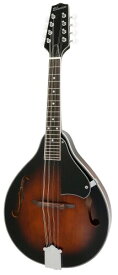 Blanton フラットマンドリン Aモデル ソリッドトップモデル BM-15A