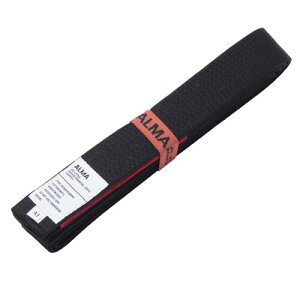 ALMA(�A���}) �_�p�� ALO-A2-BK �� A2 �u���b�N