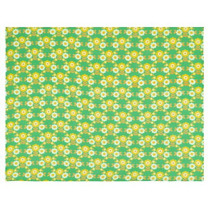 �}���`�N���X ���g���t�����[ ��145×225cm�\�t�@�[�J�o�[ �x�b�h�J�o�[ (�O���[��)