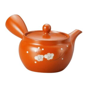 J-kitchens }{  lp { _ X^CbV Vv VbN 260cc i[/₩ԁj